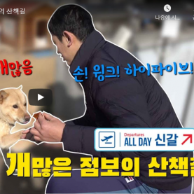 [점보스 영상] ALLDAY 신갈 – EP.2 점보의 산책길