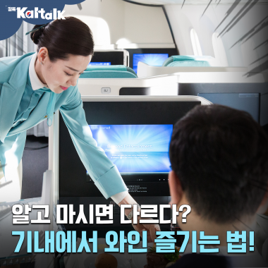 [칼톡_Kaltalk] 대한항공의 새로운 기내와인 총정리🍷 기내식에 어울리는 와인은?