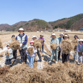대한항공, 1사1촌 자매결연 마을서 봄맞이 농촌 일손돕기 활동 펼쳐