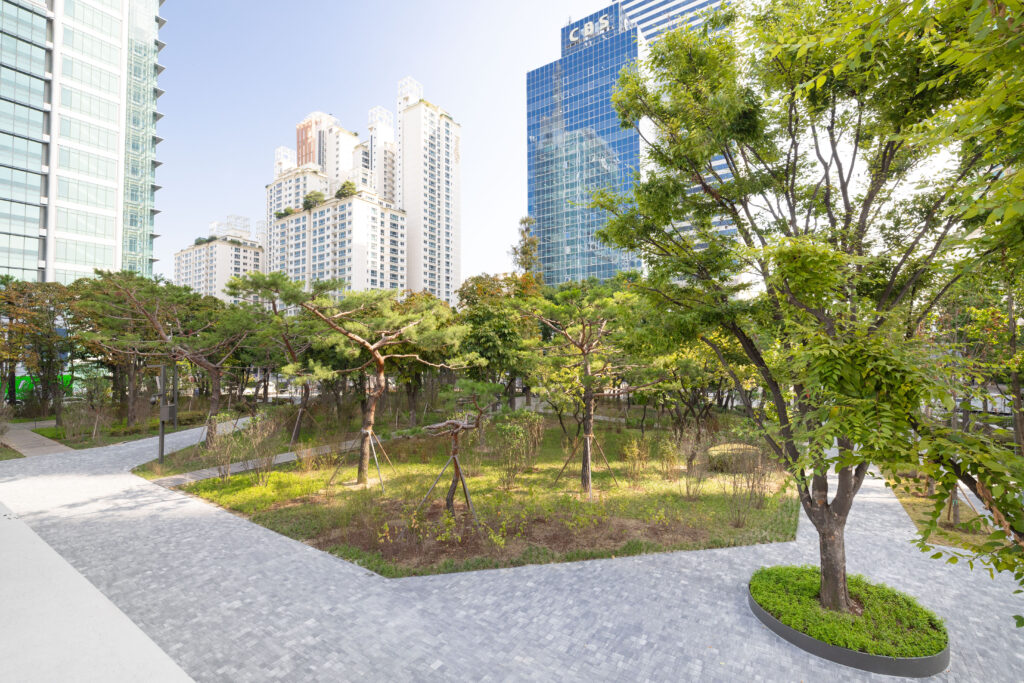 대한항공이 1차 그린 스카이패스(GREEN SKYPASS)로 도심 숲 조성에 참여한 서울 양천구 오목공원 전경