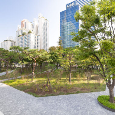“여러분의 여정이, 도시의 숲이 됩니다” 대한항공, 2차 ‘그린 스카이패스 프로젝트’ 실시