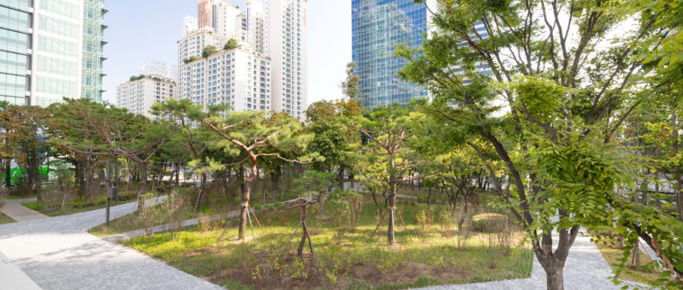 “여러분의 여정이, 도시의 숲이 됩니다” 대한항공, 2차 ‘그린 스카이패스 프로젝트’ 실시