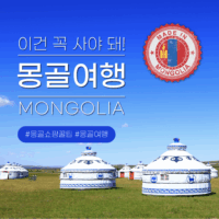 [쇼핑리스트] 사오면 좋을 현지 아이템_ 몽골 울란바타르
