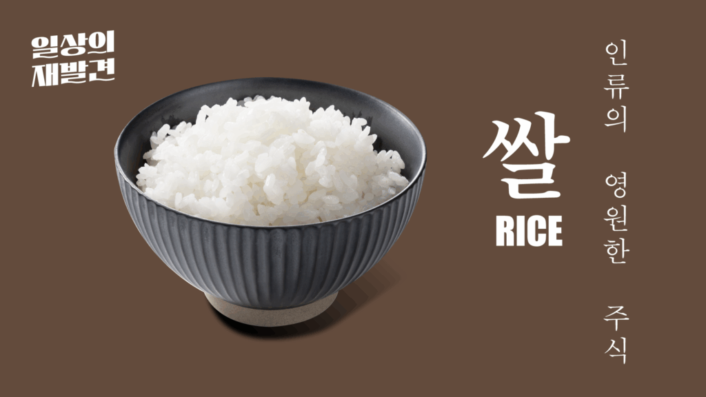 일상의 재발견 쌀 인류의 영원한 주식 RICE