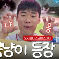 [점보스영상] 랜필에 등장한 끼누와 항공냥이(?)⚾🐈