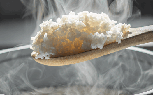 [일상의 재발견] 밥심으로 일한다_ RICE