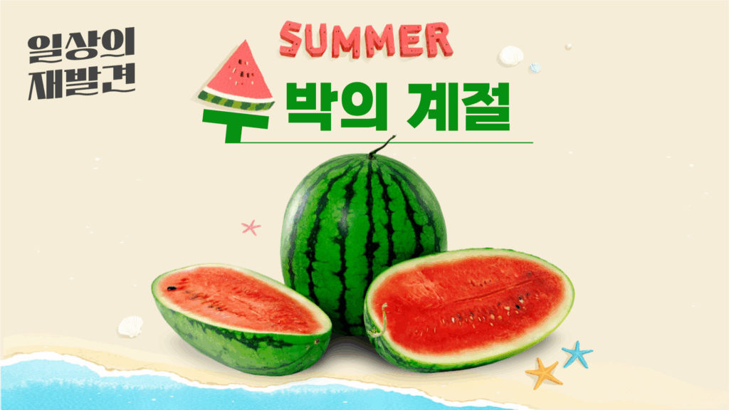 일상의 재발견 SUMMER 수박의 계절