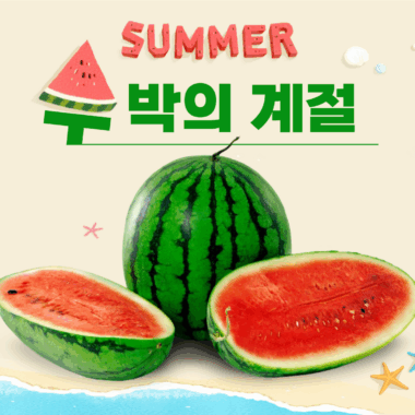 [일상의 재발견] 올해 수박 드셨어요? _ WATERMELON