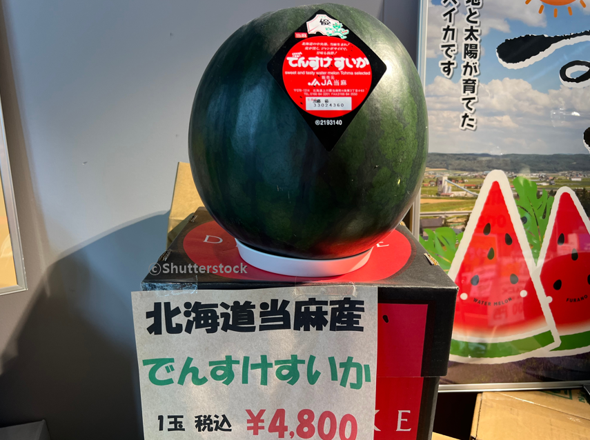 일본 홋카이도의 덴스케 수박