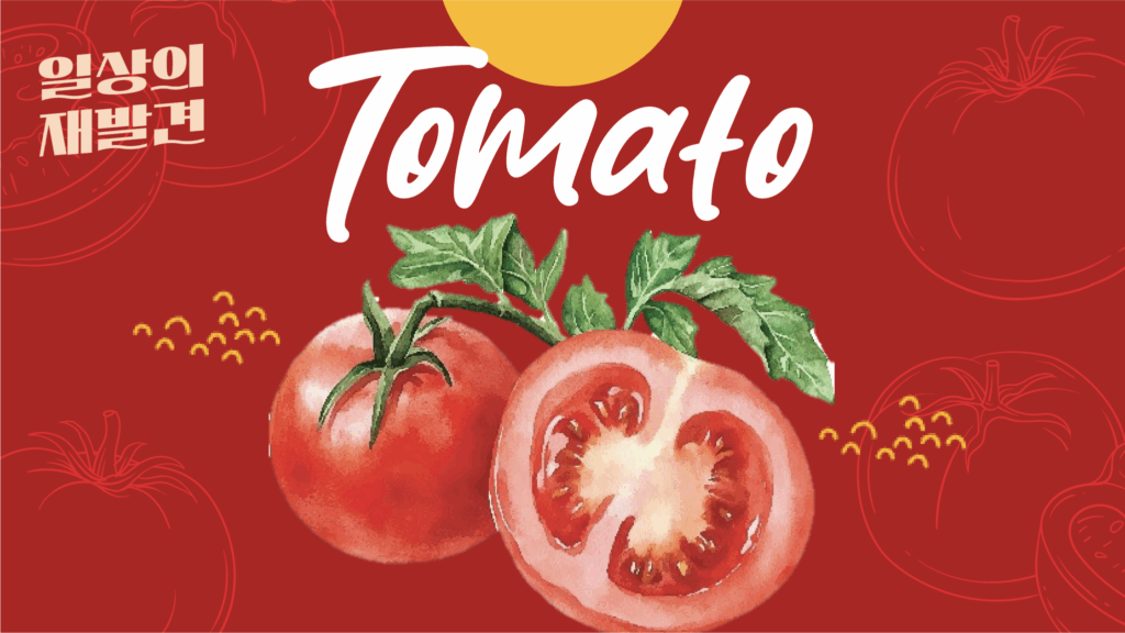 일상의 재발견 토마토 TOMATO
