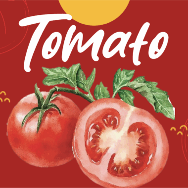 [일상의 재발견] 왕과 셀럽이 사랑한 토마토_ TOMATO