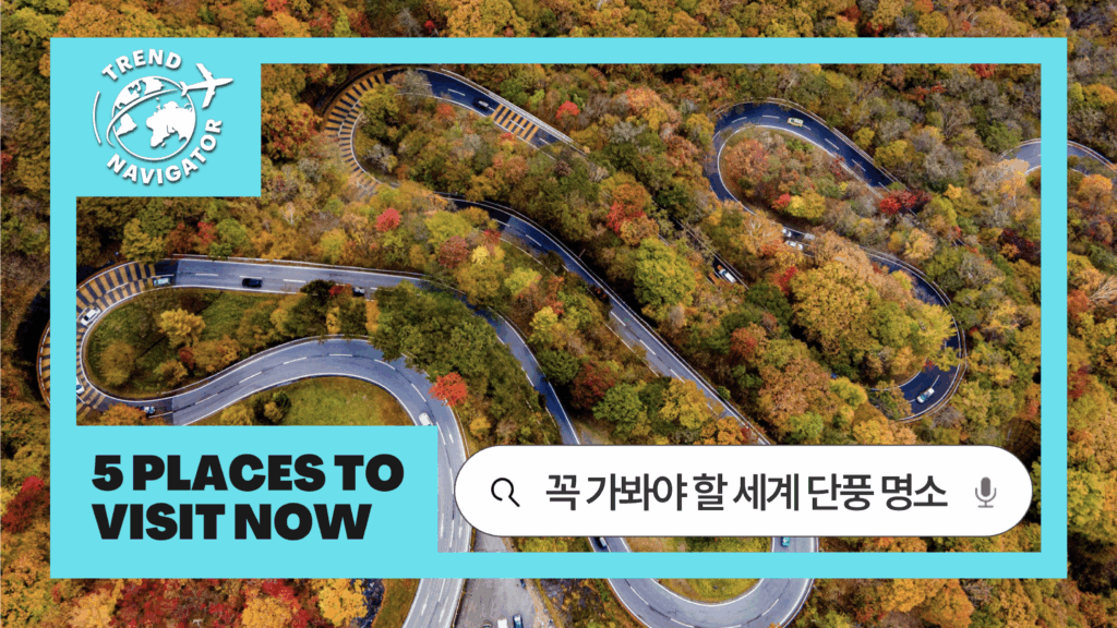 트렌드 내비게이터 꼭 가봐야 할 세계 단풍 명소 5 PLACES TO VISIT NOW TREND NAVIGATOR