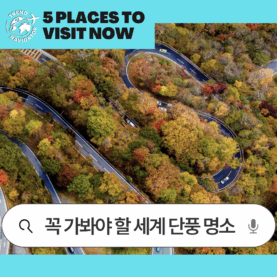 [트렌드 내비게이터] 세계 단풍 명소
