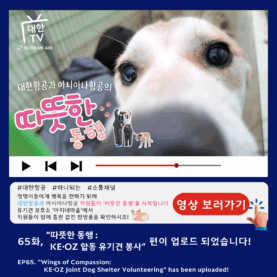 [대한TV] 대한항공 사내방송 대한TV EP.65 “따뜻한 동행: KE·OZ 합동 유기견 봉사”
