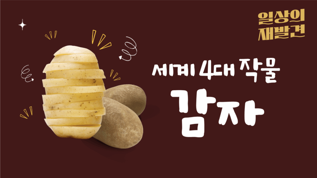 일상의 재발견 세계 4대 작물 감자