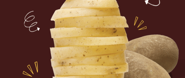 [일상의 재발견] 땅 속의 사과, 감자_ POTATO