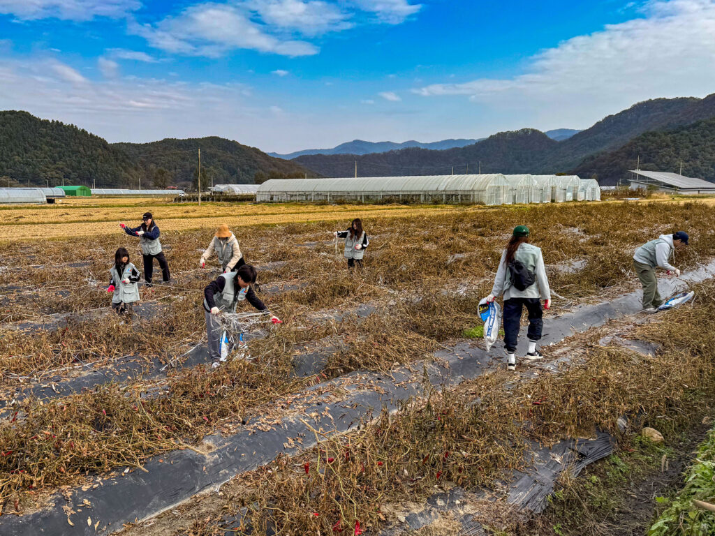 대한항공·아시아나항공 양사 임직원과 가족들이 농가 일손 돕기와 의료 지원 봉사활동을 하고 있는 모습.