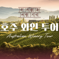 [내서랍속여행기억] 호주 와인 투어