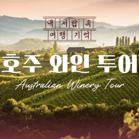[내서랍속여행기억] 호주 와인 투어