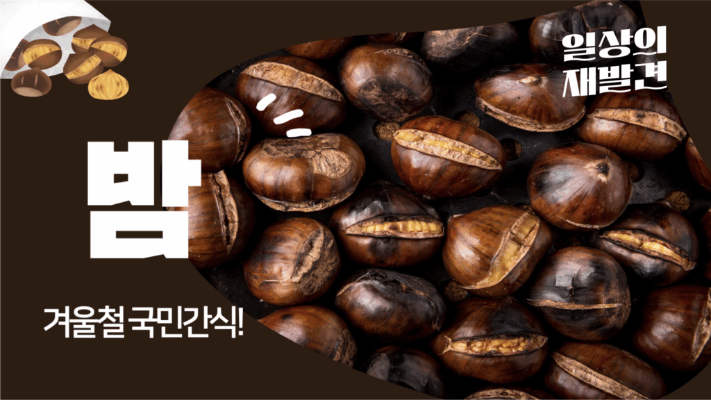 일상의 재발견 밤 겨울철 국민간식!