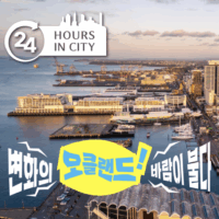 [24HOURS in CITY] 오클랜드_ AUCKLAND