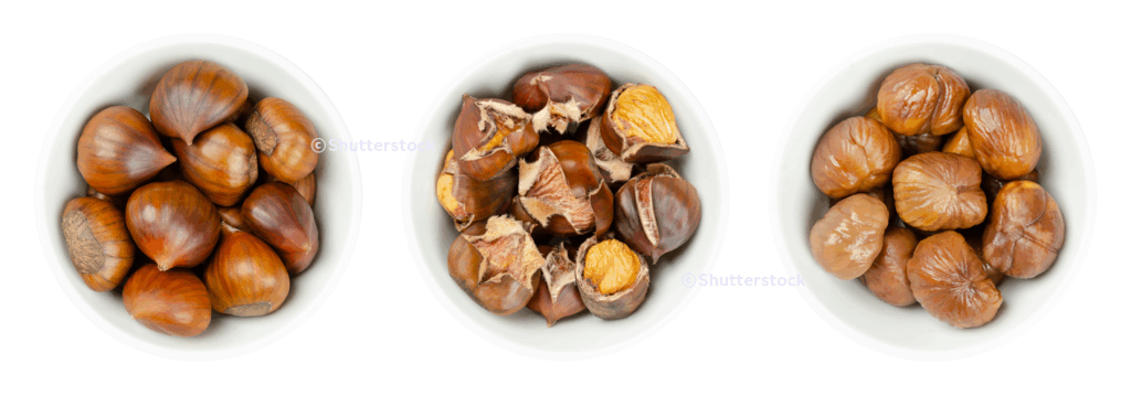 여러 종류의 밤