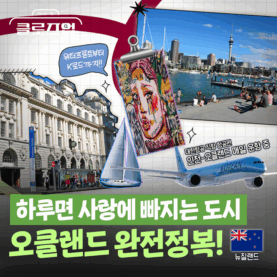[스튜디오KE] 지금 오클랜드를 가야하는 이유✈️ / 클로즈업