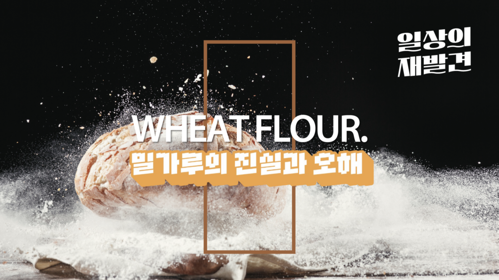 일상의 재발견 Wheat Flour 밀가루의 신실과 오해