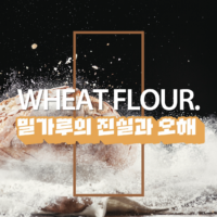 [일상의 재발견] 밀가루는 왜 소화가 안될까?_ WHEAT FLOUR