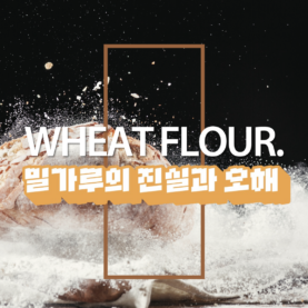 [일상의 재발견] 밀가루는 왜 소화가 안될까?_ WHEAT FLOUR