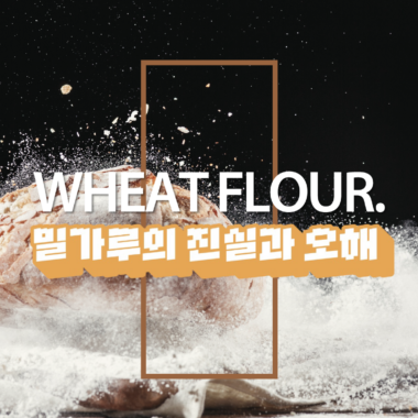 [일상의 재발견] 밀가루는 왜 소화가 안될까?_ WHEAT FLOUR