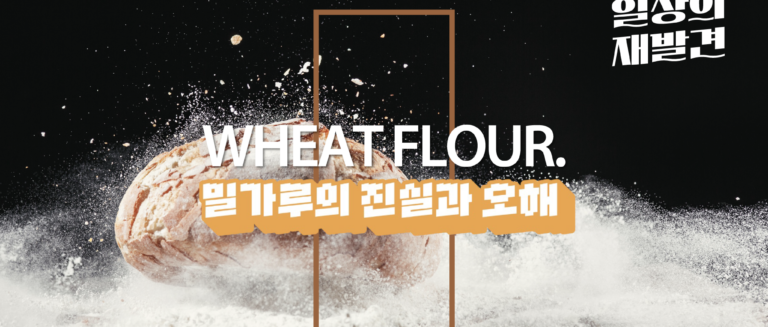 [일상의 재발견] 밀가루는 왜 소화가 안될까?_ WHEAT FLOUR