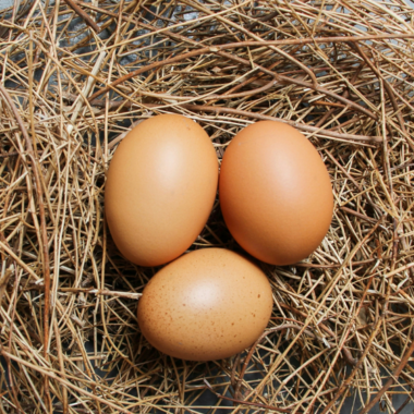 [일상의 재발견] 국경을 넘는 매력_ EGGS