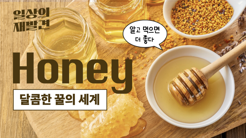 일상의 재발견 꿀(Honey) 달콤한 꿀의 세계 알고 먹으면 더 좋다