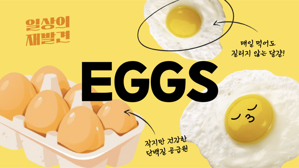 일상의 재발견 달걀 EGGS 매일 먹어도 질리지 않는 달걀! 작지만 건강한 단백질 공급원