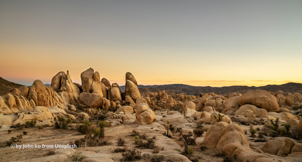 조슈아 트리 국립공원