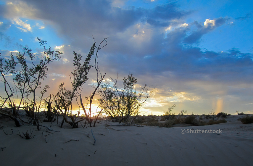 라스베이거스 외곽 넬리스 듄스
