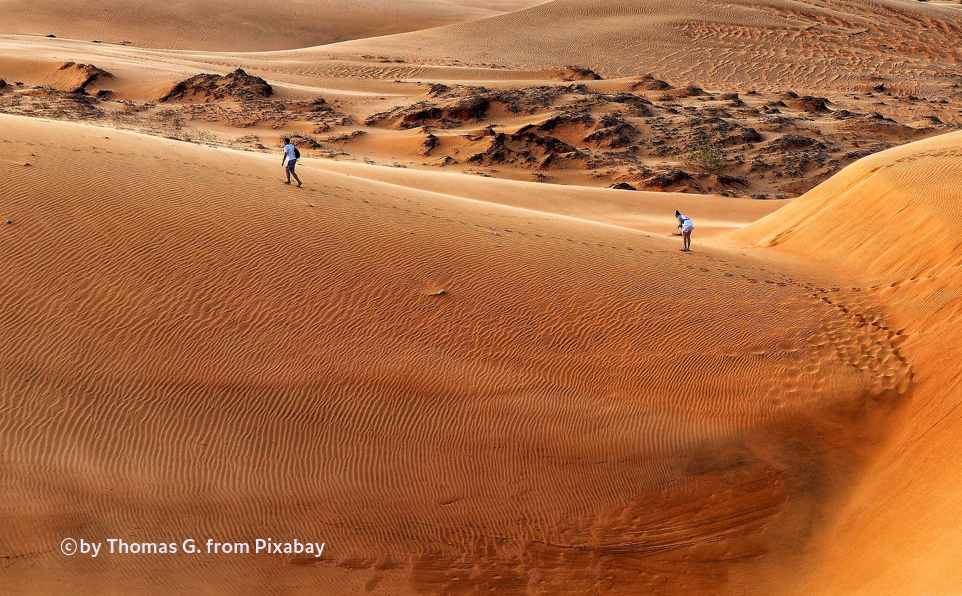 베트남 무이네 사막