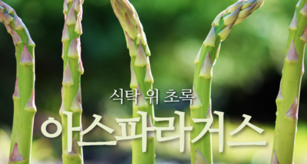[일상의 재발견] 3년을 기다려야 먹을 수 있는 왕의 채소_ 아스파라거스