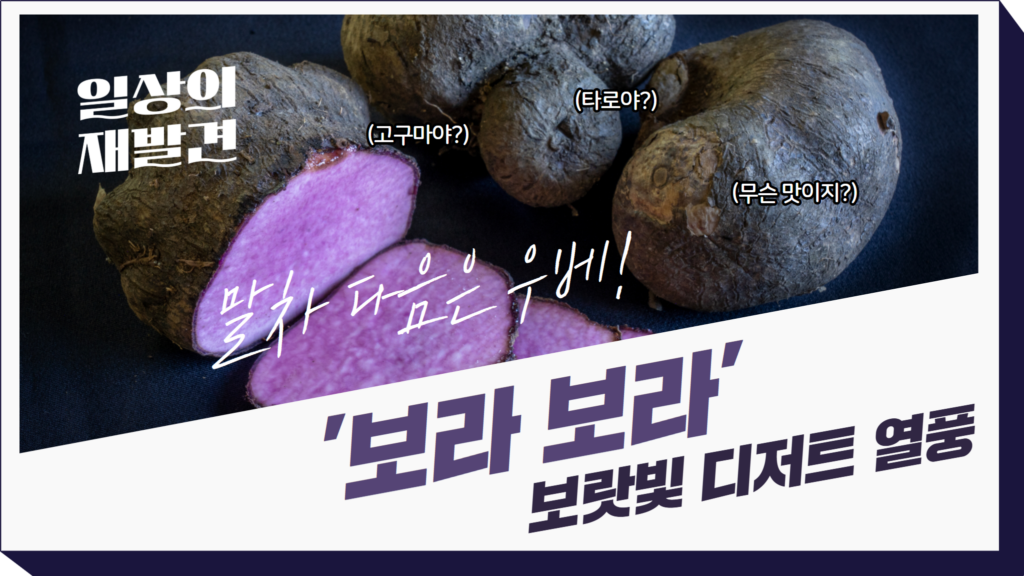 일상의재발견 고구먕? 타로야? 무슨 맛이지? 말차 다음은 우베! '보라 보라' 보랏빛 디저트 열풍