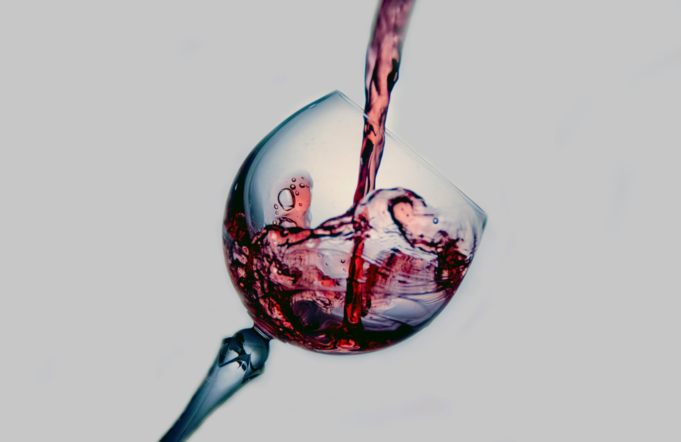 [일상의 재발견] 천천히 발견하는 즐거움_ WINE