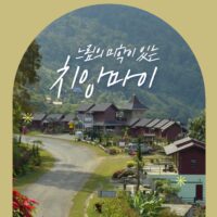 [쇼핑리스트] 사오면 좋을 현지 아이템_ 치앙마이