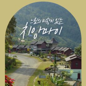 [쇼핑리스트] 사오면 좋을 현지 아이템_ 치앙마이